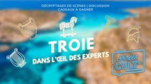 Troie dans l'oeil des experts